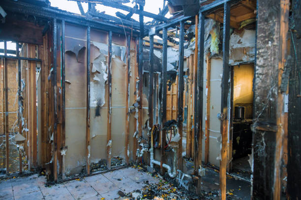 Professional Fire Damage Removal technician working in Colwyn, PA